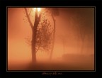 abbraccio della sera... abbraccio della sera...