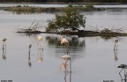 Saline priolo 1 Saline priolo 1