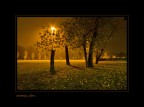 evening colors... evening colors...