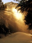 amo la natura amo la natura