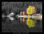 Di che colore è l'autunno? Di che colore è l'autunno?