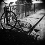 foto vista e rivista, per�, secondo me, scattata con la diana, ha tutto un altro sapore