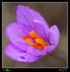 Desiderio di uscire dall'ombra