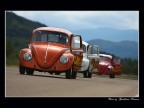 Volkswagen Maggiolino Volkswagen Maggiolino