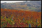 Colli Tortonesi 2