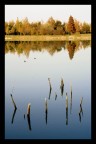 I colori dell'autunno I colori dell'autunno
