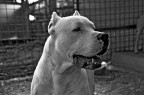 Guarda chi c'è... Guarda chi c'è...