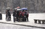 Improvviso nubifragio a P.zza Navona
Suggerimenti e critiche sempre ben accetti