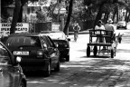 ...mezzi di trasporto... ...mezzi di trasporto...