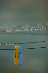 oggi piove.. oggi piove..