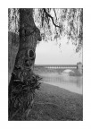 Ticino Ticino