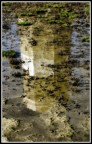 faro faro