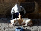 Mendicante, cane e topolino Mendicante, cane e topolino