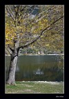 Quiete autunnale Quiete autunnale