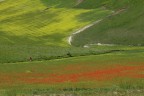 Un tocco di rosso