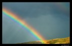 rainbow in sky rainbow in sky