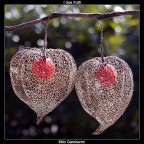 Suggerimenti e critiche sempre ben accetti.