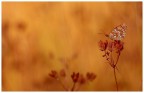 Al tramonto... Al tramonto...