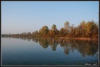 alberi imbelliti dall'autunno che si specchiano  in acqua...