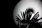 luce sintetica luce sintetica