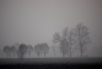 delta del po tramonto con nebbia delta del po tramonto con nebbia