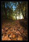 Colori d'autunno Colori d'autunno