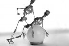 Puro still-life Puro still-life