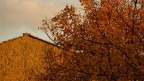 il mio autunno... il mio autunno...