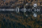 Riflessi sul lago Riflessi sul lago