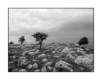 ...HARD LAND... ...HARD LAND...
