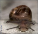"che bella giornata oggi: piove"