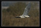 Volo radente Volo radente