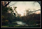 November In Central Park
