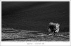 ...chiaroscuro... ...chiaroscuro...
