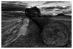 Campagne Toscane Campagne Toscane