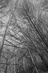 Legno+acciaio Legno+acciaio
