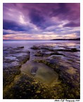 Castiglioncello.... Castiglioncello....