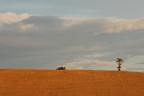 Marche: inizia un nuovo giorno Marche: inizia un nuovo giorno