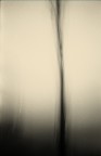 dissolvenze 4 dissolvenze 4