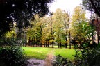 Autunno in Villa Fabbricotti (Livorno) Autunno in Villa Fabbricotti (Livorno)