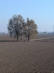 campagna campagna