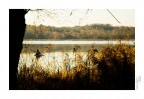 l'autunno è. l'autunno è.