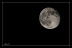 Luna Luna