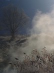 I primi raggi di sole I primi raggi di sole