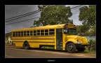 school bus