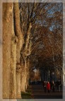 Viale Pubblico Passeggio