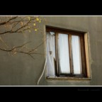 Il Sanatorio Banti � un edificio ospedaliero situato in via Uccellatoio 6 tra Pratolino e Montorsoli,nel comune di Vaglia. E' considerato uno dei pi� interessanti esempi di architettura ospedaliera del XX secolo in Toscana.
it.wikipedia.org/wiki/Sanatorio_Banti