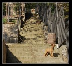 Dai...vieni gi�!!!