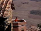 A Montalcino A Montalcino