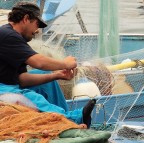 Commenti e critiche ben accette.
Un titolo potreste suggerirmelo voi, grazie